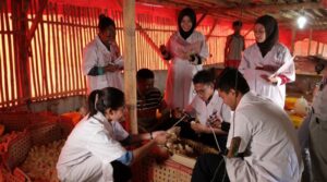 Contoh Soal Tes Masuk Jurusan Peternakan